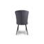 Padmukh 49cm H Tufted Velvet Upholstered Side Chair-1961306949