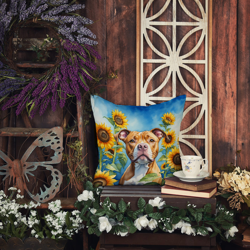 Other/No Pattern Outdoor Throw Pillow, 14" H x 14" W