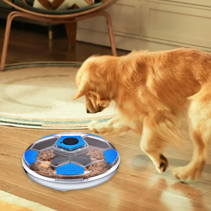 Jouets interactifs pour chien, Blanc / Bleu