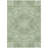 Machine Washable Indoor/Outdoor Claudian ACN1677 Aloe Rug-104372799