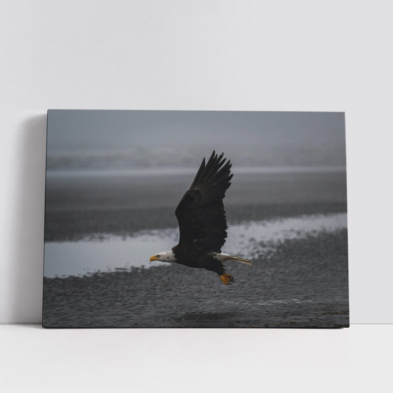 Eagle on a Beach, 12" H x 18" W