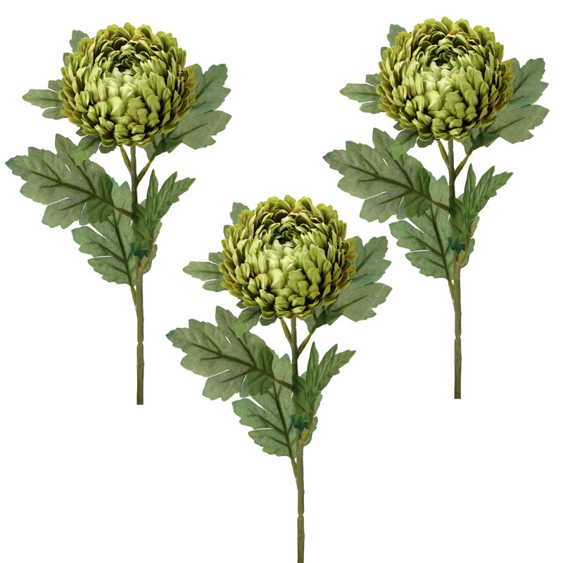 Tige d'araignée 23 po, Vert