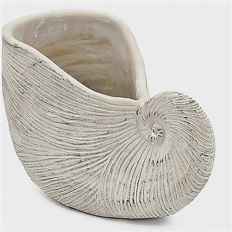 11.5x6.7x7.7" Sand and Cement Nautilus Shell Planter with Textured Beige Finish