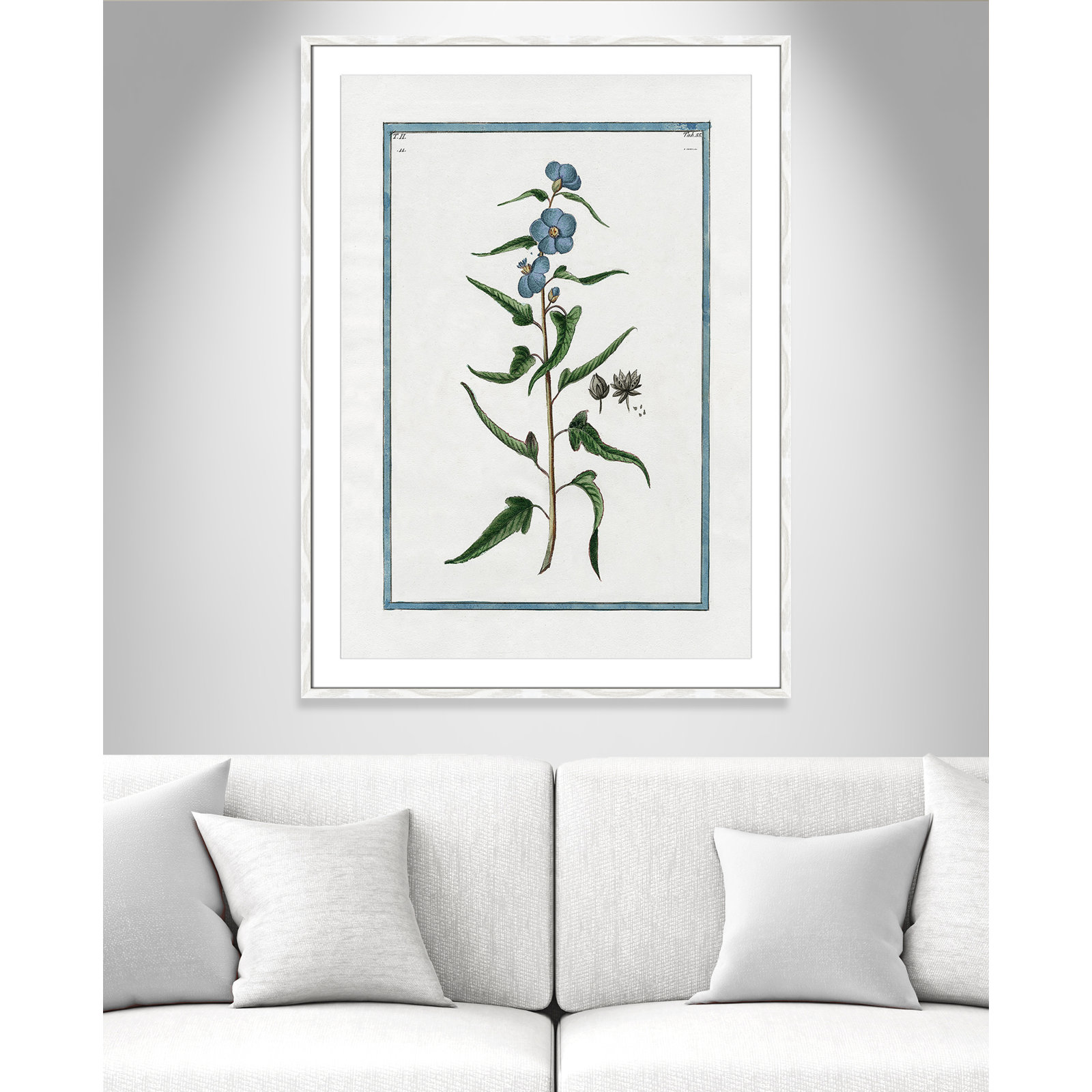 Colombe "Shabby Elegance Botanical I" Print, 29.5" W x 41.5" H, White Framed