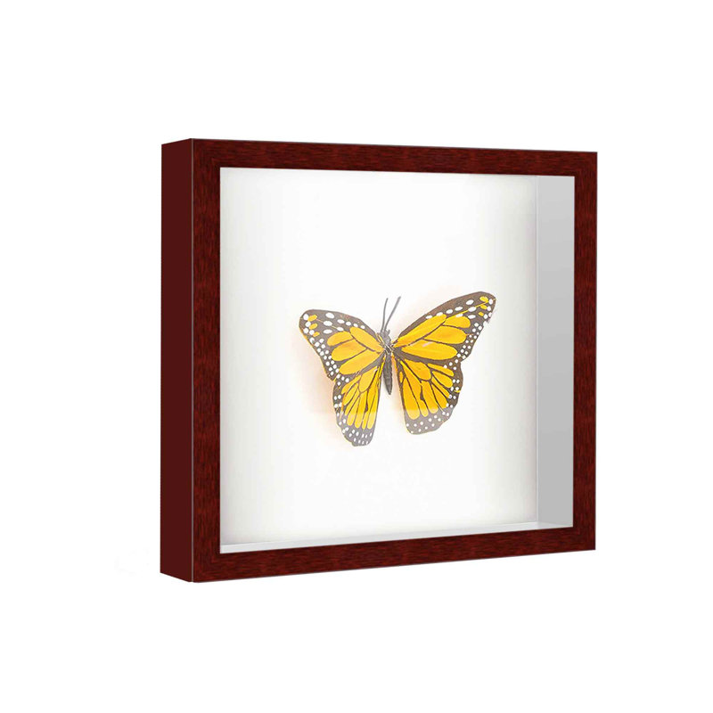 Alenah Solid Wood Shadow Box Picture Frame, 10" W x 10" H, Brown