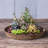 Pollyanna Pot Planter-376320493-376320490