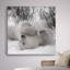 «Hudson Bay Bear», photographie-329774925-329774931