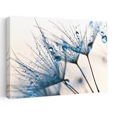 Mystic Blue - art photographique floral et nature morte