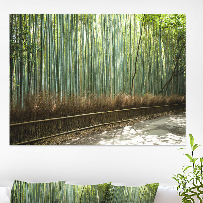 «Beautiful View of Bamboo Forest», reproduction de photo sur toile tendue, H 20 po x l 20 po x P 1 po, Toile tendue