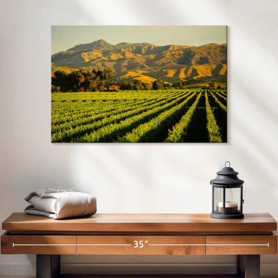 Alvord Blenheim Vineyard