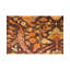 Wool Oriental Area Rug