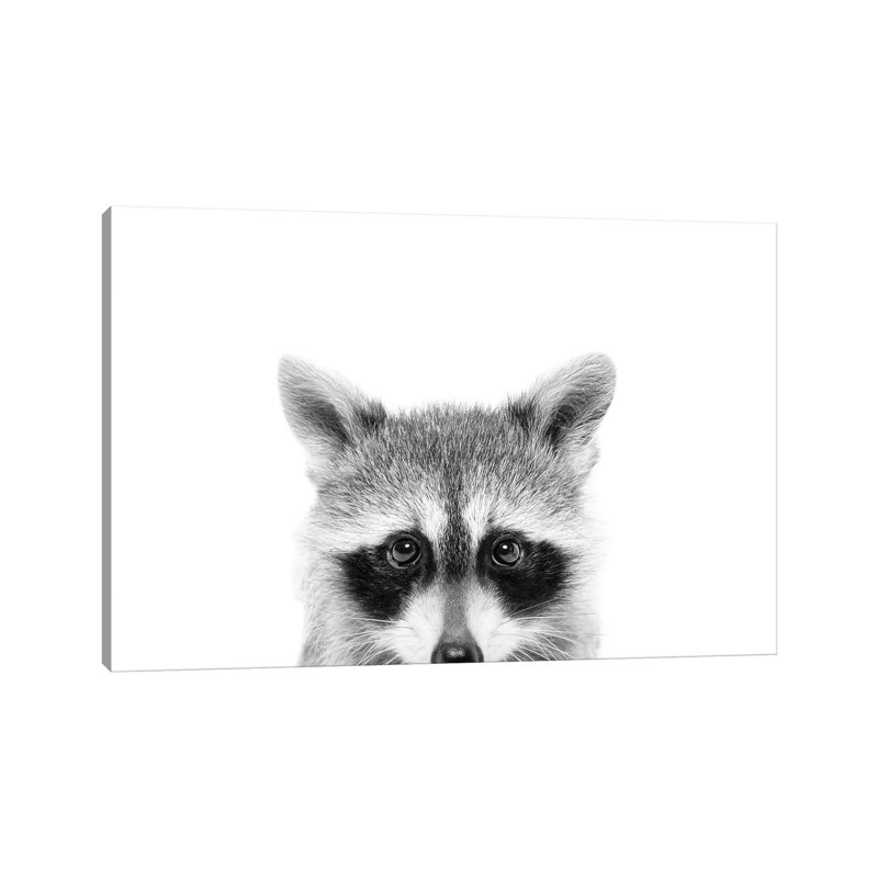 Peeking Raccoon by Sisi & Seb - Wrapped Canvas Print, 20.32 cm H x 30.48 cm W