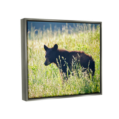 «Baby Bear Tall Grassland Floater» par Rick Berk