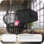 Hanging Egg Chair With Cushion-817929704