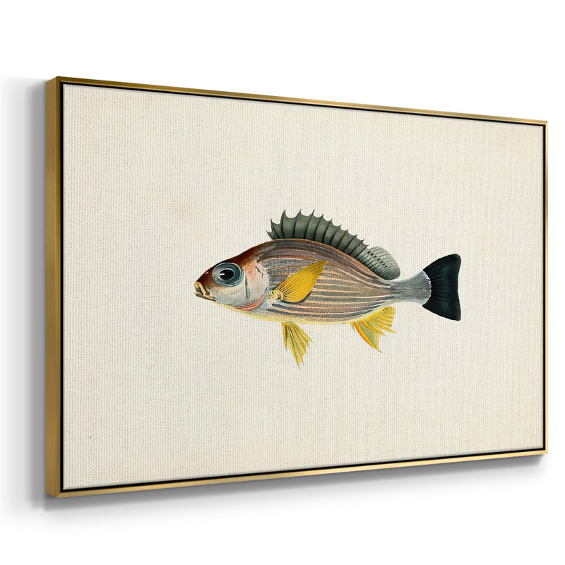 " Tropical Fish Collection III ", 17" H x 25" W x 2" D, Gold Framed