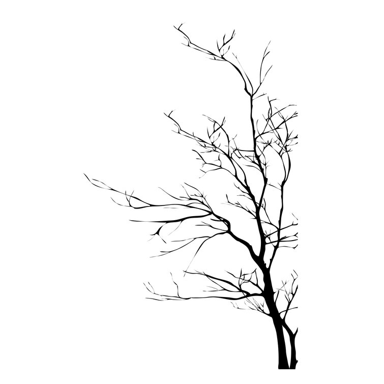 Tree Branch Wall Decal  Tree Branch Stickers for Walls – StickerBrand