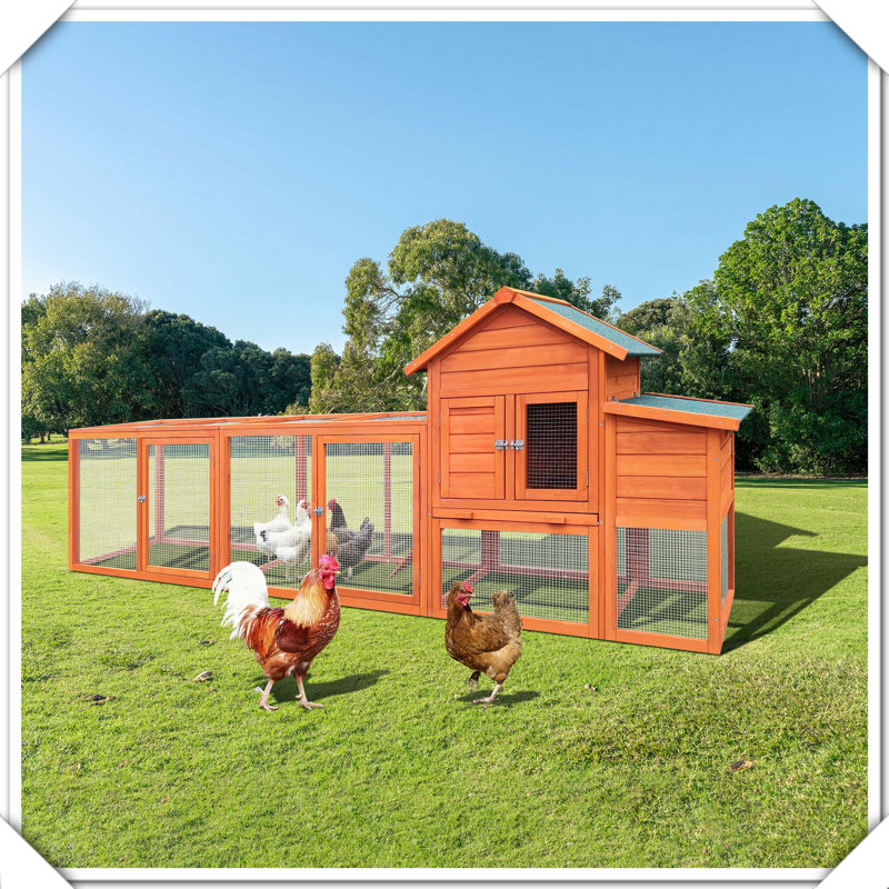 Grande cage à poules en bois
