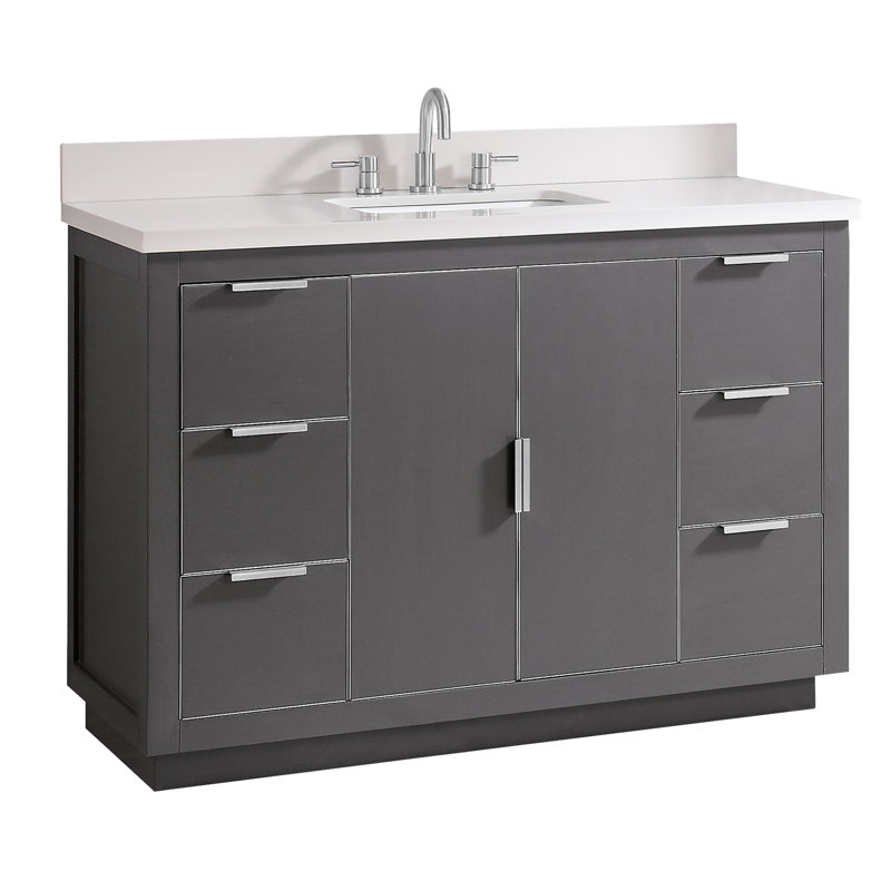 Salise 49'' Single Bathroom Vanity with Top, White Quartz/Silver, Twilight Gray