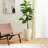 Sainsbury Pot Planter-911249981