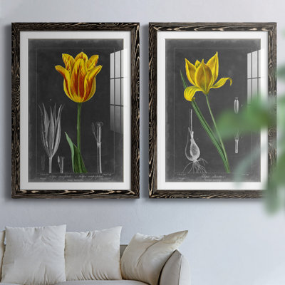«Midnight Tulip», reproduction encadrée prémium