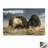 No Frame Print on Canvas-734896869