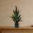 Sansevieria Artificial Plant