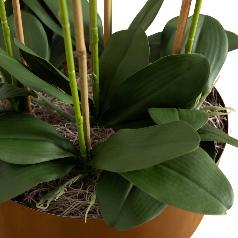 Arrangement d'orchidées artificielles en potine en métal avec support, Bronze, H 48 po x l 23 po x P 23 po