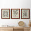 Antique Black and White Botanical VII - Ensemble de 3 reproductions d'art sur toile-282180060-282180063