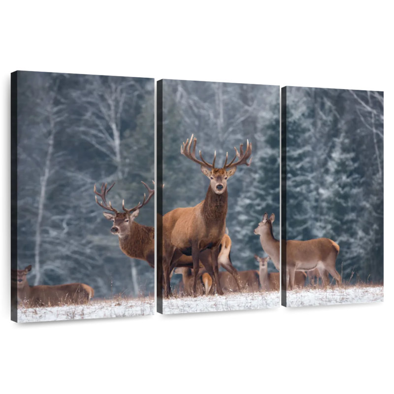 Cerf d'hiver Brampt, H 24 po x l 38 po