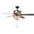 Cerny 15'' Ceiling Fan with Light Kit
