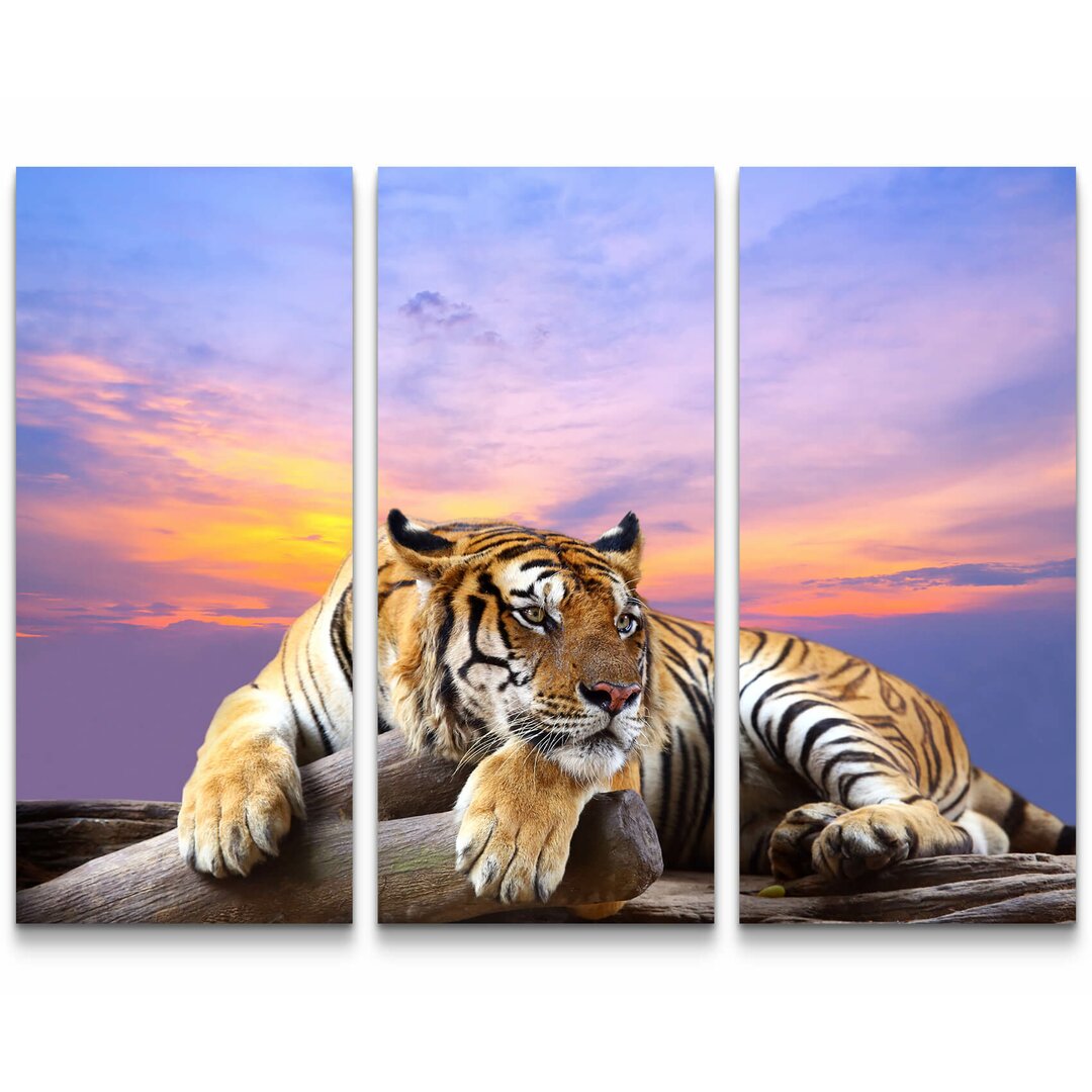 3-tlg. Leinwandbilder-Set Liegender Tiger mit Sonnenuntergang im Hintergrund