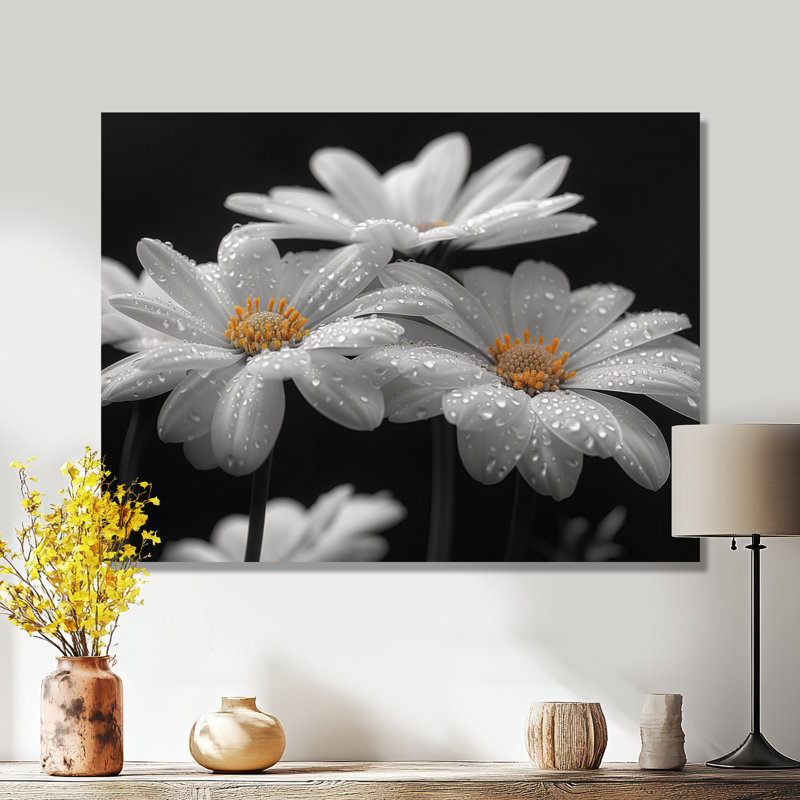Monochrôme noir et blanc, bonheur, photo III - marguerites, art mural, Toile tendue, 24" H x 32" W