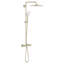 Euphoria 310 CoolTouch Thermostatic Shower System-58192307