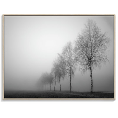 Print on Canvas