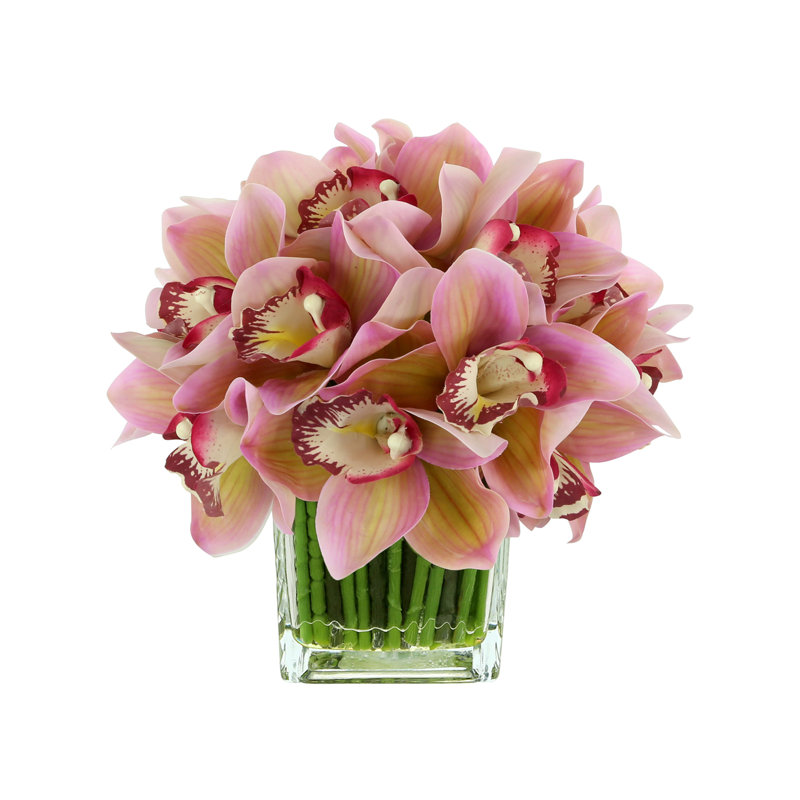 Orchidée Lehn dans un vase en verre, Rose clair