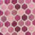 Fuschia selected
