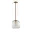 Luminaire suspendu simple 1 lumière-1911834552