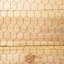 Samuel Alexander 90 cm H x 600 cm W Border Fencing