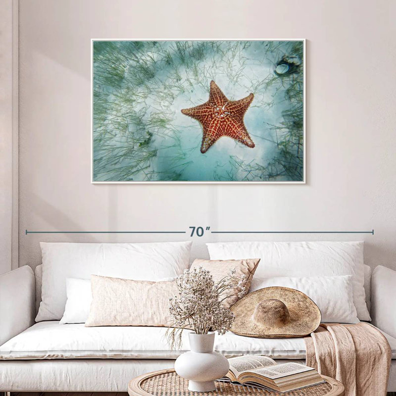 Étoile de mer peu profonde, Cadre flottant blanc, 43 po x 29 po