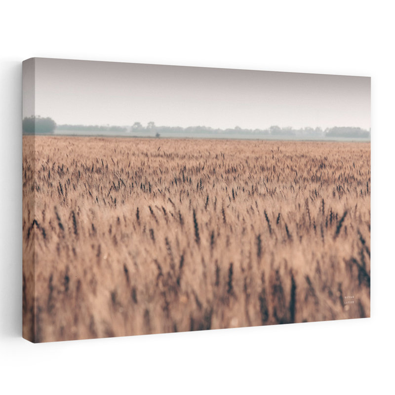 Blé en été, paysage contemporain abstrait, art d'été, H 24 po x l 16 po