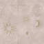 Papier peint texturé non tissé et non collé rose doré antique-123040332