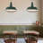  2-Light Green Farmhouse Pendant Light 18.1 Inch Industrial Pendant Light with Wire Cage for Kitchen Barn Dining Room-115827728