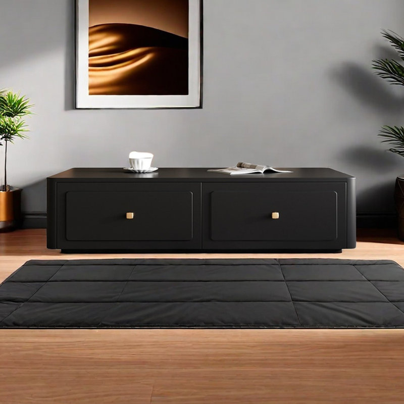 Table basse moderne et minimaliste, H 13,77 po x L 51,18 po x l 27,55 po