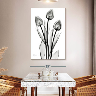 Harnek Tall Early Tulips