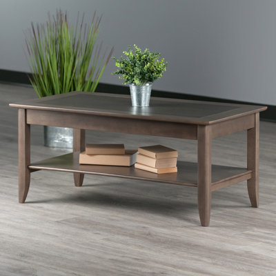 Adrean Coffee Table with Storage by Red Barrel Studio
