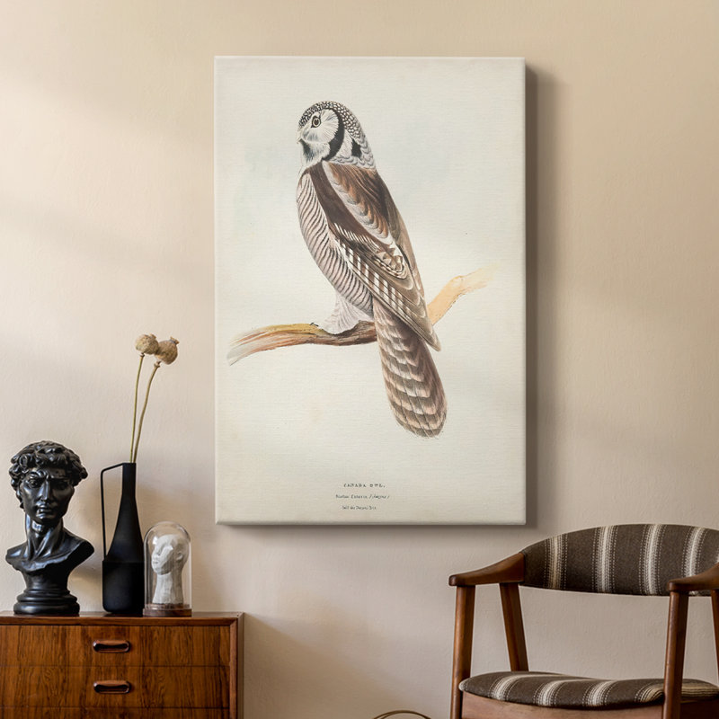 Chouette du Canada - galerie Cavas sur mesure, H 27 po x l 18 po
