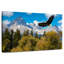 Grand Teton Eagle-107524243