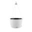 Hanging Planter-16493104-66329966