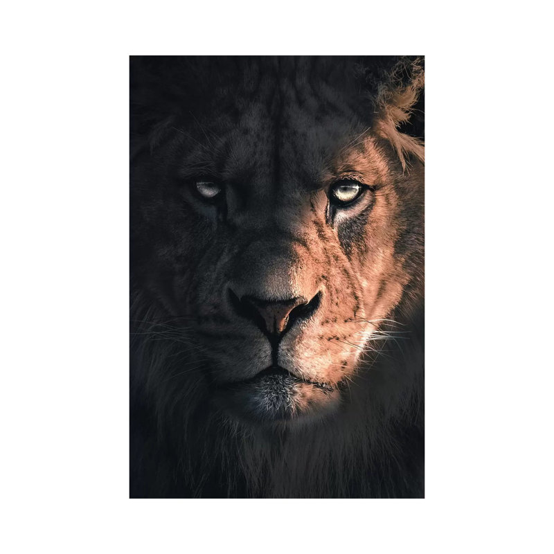 Lion Portrait by Zenja Gammer - Print on Canvas, Wrapped Canvas, 30.48 cm H x 45.72 cm W