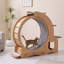 Roue d'exercice pour chat d'intérieur, tapis roulant de course avec gamelles, perchoirs à plusieurs niveaux et grotte pour chat, accessoire d'exercice quotidien pour chat